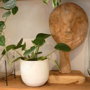 Cache-pot minimaliste - Blanc